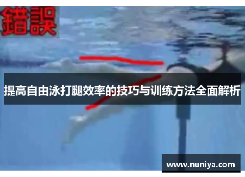 提高自由泳打腿效率的技巧与训练方法全面解析