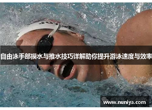 自由泳手部摸水与推水技巧详解助你提升游泳速度与效率