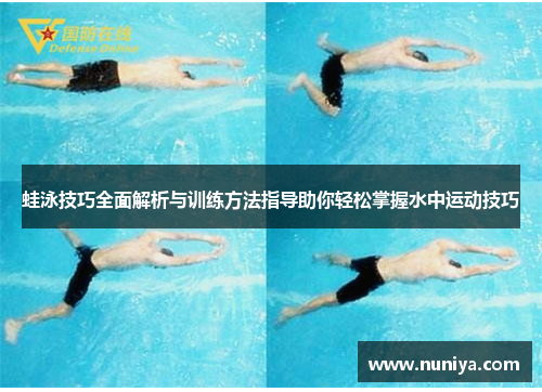 蛙泳技巧全面解析与训练方法指导助你轻松掌握水中运动技巧
