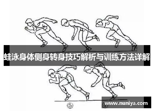 蛙泳身体侧身转身技巧解析与训练方法详解