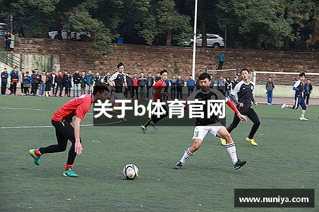 关于b体育官网